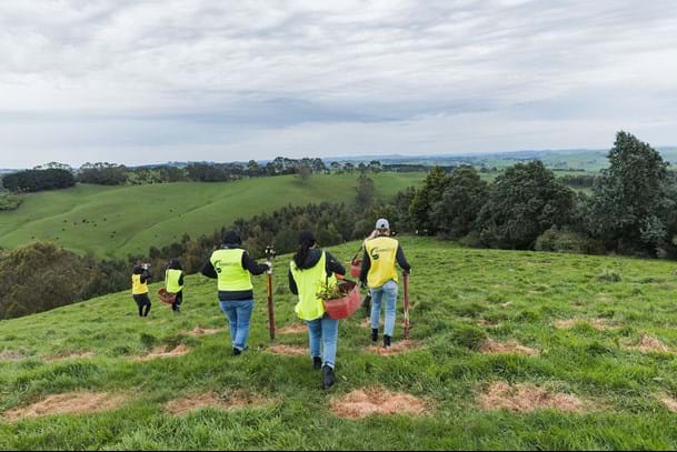 Greenfleet planting event